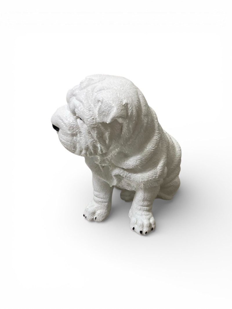 Yağmurlu Günlerin Sıcak Dostu: Shar Pei Biblosu