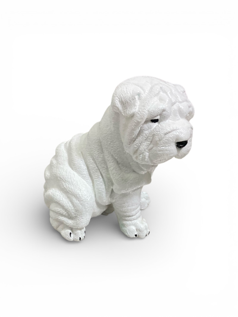 Yağmurlu Günlerin Sıcak Dostu: Shar Pei Biblosu